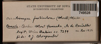 Image Associated With the Occurence